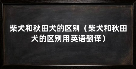 柴犬和秋田犬的区别（柴犬和秋田犬的区别用英语翻译）