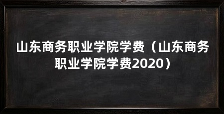 山东商务职业学院学费（山东商务职业学院学费2020）