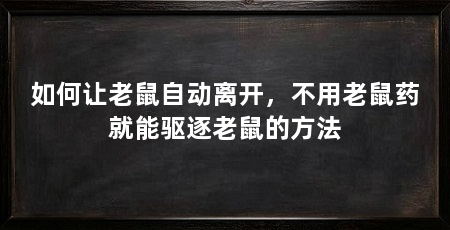 如何让老鼠自动离开，不用老鼠药就能驱逐老鼠的方法