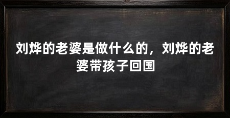 刘烨的老婆是做什么的，刘烨的老婆带孩子回国