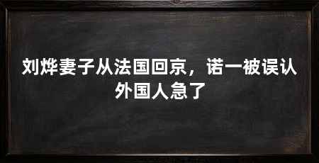 刘烨妻子从法国回京,诺一被误认外国人急了