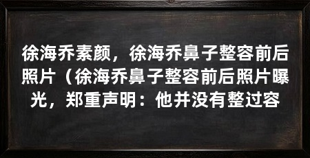 徐海乔素颜,徐海乔鼻子整容前后照片(徐海乔鼻子整容前后照片曝光,郑重声明:他并没有整过容