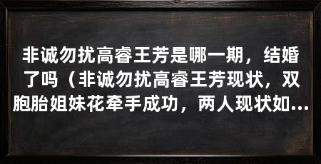 非诚勿扰高睿王芳是哪一期,结婚了吗(非诚勿扰高睿王芳现状,双胞胎姐妹花牵手成功,两人现状如何