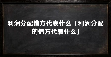 利润分配借方代表什么(利润分配的借方代表什么)