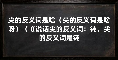 尖的反义词是啥（尖的反义词是啥呀）（《说话尖的反义词：钝，尖的反义词是钝