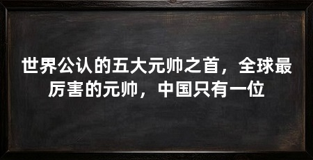 世界公认的五大元帅之首,全球最厉害的元帅,中国只有一位