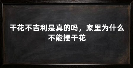 干花不吉利是真的吗,家里为什么不能摆干花