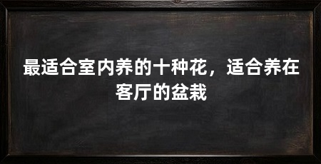 最适合室内养的十种花,适合养在客厅的盆栽