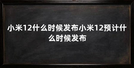 小米12什么时候发布小米12预计什么时候发布
