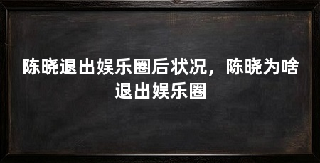 陈晓退出娱乐圈后状况,陈晓为啥退出娱乐圈