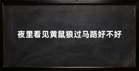 夜里看见黄鼠狼过马路好不好
