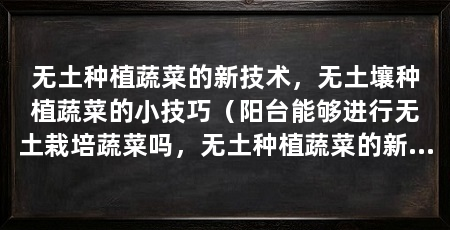 无土种植蔬菜的新技术，无土壤种植蔬菜的小技巧（阳台能够进行无土栽培蔬菜吗，无土种植蔬菜的新技术