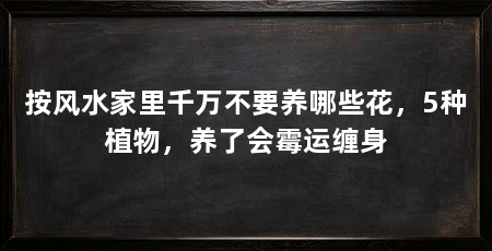 按风水家里千万不要养哪些花，5种植物，养了会霉运缠身