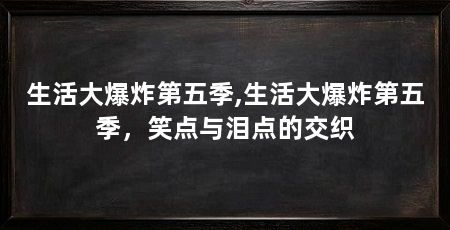 生活大爆炸第五季,生活大爆炸第五季，笑点与泪点的交织