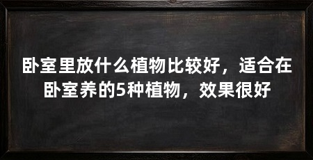 卧室里放什么植物比较好,适合在卧室养的5种植物,效果很好
