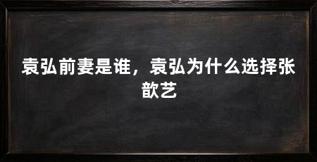 袁弘前妻是谁,袁弘为什么选择张歆艺