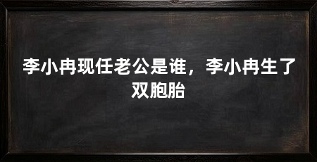 李小冉现任老公是谁，李小冉生了双胞胎