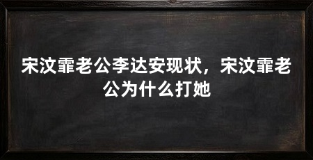 宋汶霏老公李达安现状，宋汶霏老公为什么打她