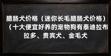 腊肠犬价格(迷你长毛腊肠犬价格)(十大便宜好养的宠物狗有泰迪拉布拉多、贵宾犬、金毛犬