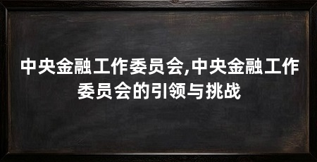 中央金融工作委员会,中央金融工作委员会的引领与挑战