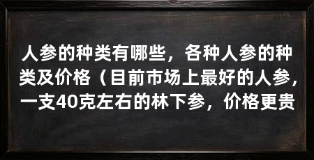 人参的种类有哪些,各种人参的种类及价格(目前市场上最好的人参,一支40克左右的林下参,价格更贵
