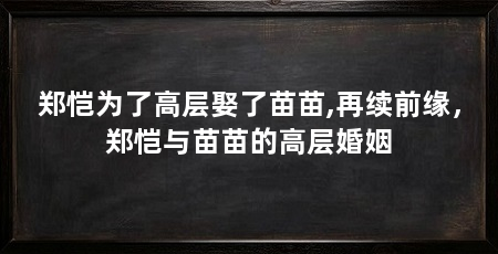 郑恺为了高层娶了苗苗,再续前缘，郑恺与苗苗的高层婚姻