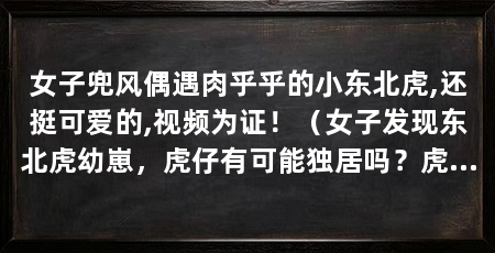 女子兜风偶遇肉乎乎的小东北虎,还挺可爱的,视频为证!(女子发现东北虎幼崽,虎仔有可能独居吗?虎爸爸有可能独居吗