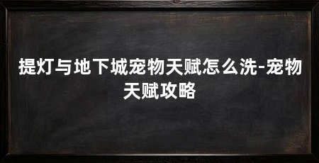 提灯与地下城宠物天赋怎么洗-宠物天赋攻略
