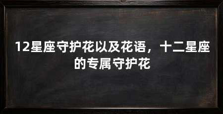 12星座守护花以及花语,十二星座的专属守护花