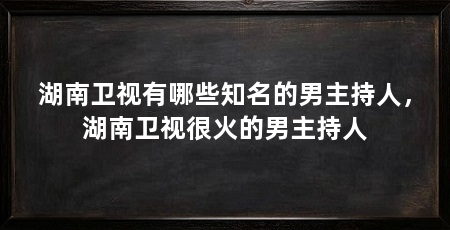 湖南卫视有哪些知名的男主持人,湖南卫视很火的男主持人