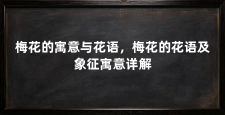 梅花的寓意与花语，梅花的花语及象征寓意详解