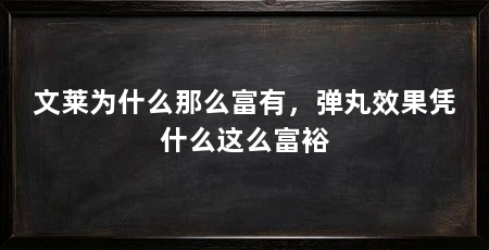 文莱为什么那么富有,弹丸效果凭什么这么富裕