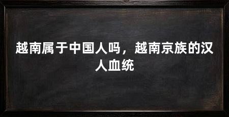 越南属于中国人吗，越南京族的汉人血统
