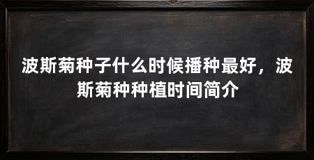 波斯菊种子什么时候播种最好，波斯菊种种植时间简介