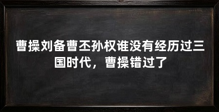 曹操刘备曹丕孙权谁没有经历过三国时代，曹操错过了