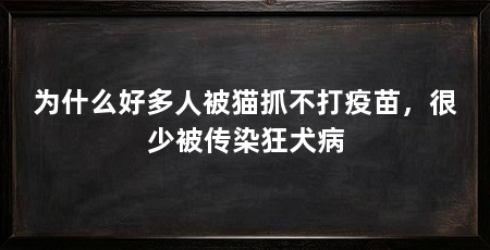 为什么好多人被猫抓不打疫苗,很少被传染狂犬病