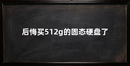 后悔买512g的固态硬盘了