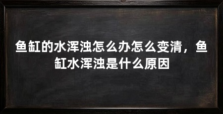鱼缸的水浑浊怎么办怎么变清，鱼缸水浑浊是什么原因