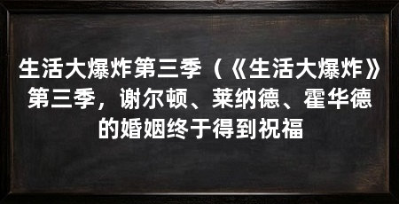 生活大爆炸第三季(《生活大爆炸》第三季,谢尔顿、莱纳德、霍华德的婚姻终于得到祝福