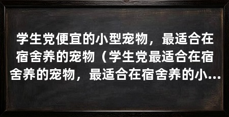 学生党便宜的小型宠物，最适合在宿舍养的宠物（学生党最适合在宿舍养的宠物，最适合在宿舍养的小型宠物