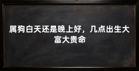 属狗白天还是晚上好,几点出生大富大贵命