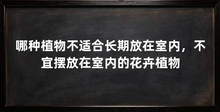 哪种植物不适合长期放在室内,不宜摆放在室内的花卉植物