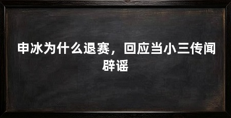 申冰为什么退赛,回应当小三传闻辟谣