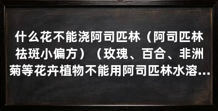 什么花不能浇阿司匹林(阿司匹林祛斑小偏方)(玫瑰、百合、非洲菊等花卉植物不能用阿司匹林水溶液来浇花