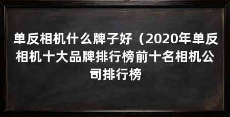 单反相机什么牌子好（2020年单反相机十大品牌排行榜前十名相机公司排行榜
