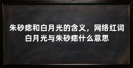 朱砂痣和白月光的含义，网络红词白月光与朱砂痣什么意思