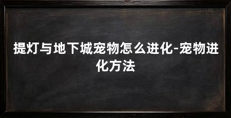 提灯与地下城宠物怎么进化-宠物进化方法