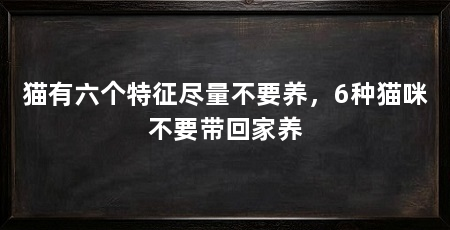 猫有六个特征尽量不要养，6种猫咪不要带回家养