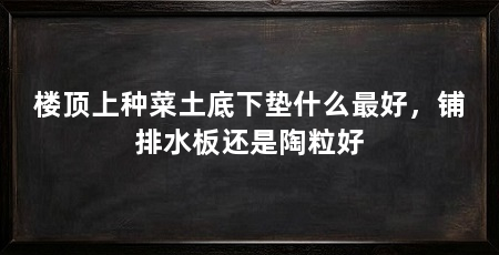楼顶上种菜土底下垫什么最好，铺排水板还是陶粒好