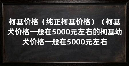 柯基价格(纯正柯基价格)(柯基犬价格一般在5000元左右的柯基幼犬价格一般在5000元左右